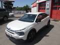Citroen C4 C4 Blue HDI 130 EAT8 Automatik PLUS Blanco - thumbnail 12