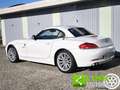 BMW Z4 sDrive23i Bianco - thumbnail 4