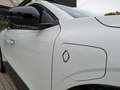 Renault Megane E-Tech EQUILIBRE EV40 130hp boost charge Blanc - thumbnail 36