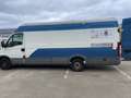 Iveco Daily Daily 35 S 12 C/P 3000L HD 2,3 TD Weiß - thumbnail 2