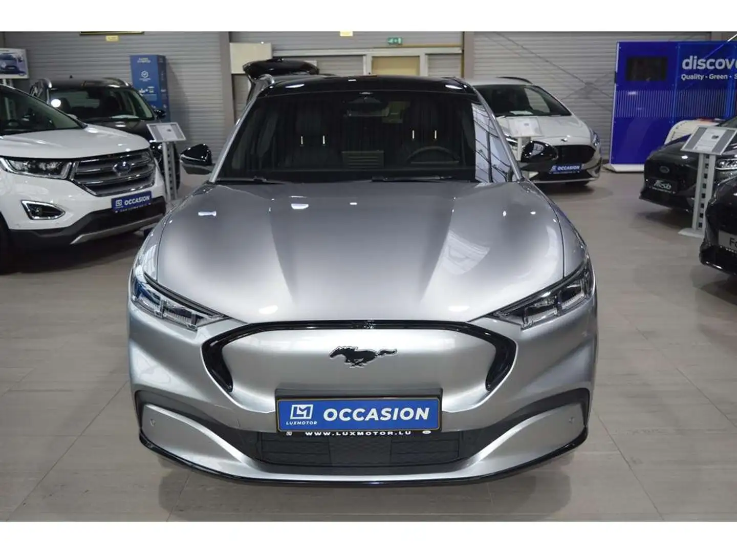 Ford Mustang Mach-E AWD 99kWh Extended Range 351CV/258kW - A1 Gris - 2