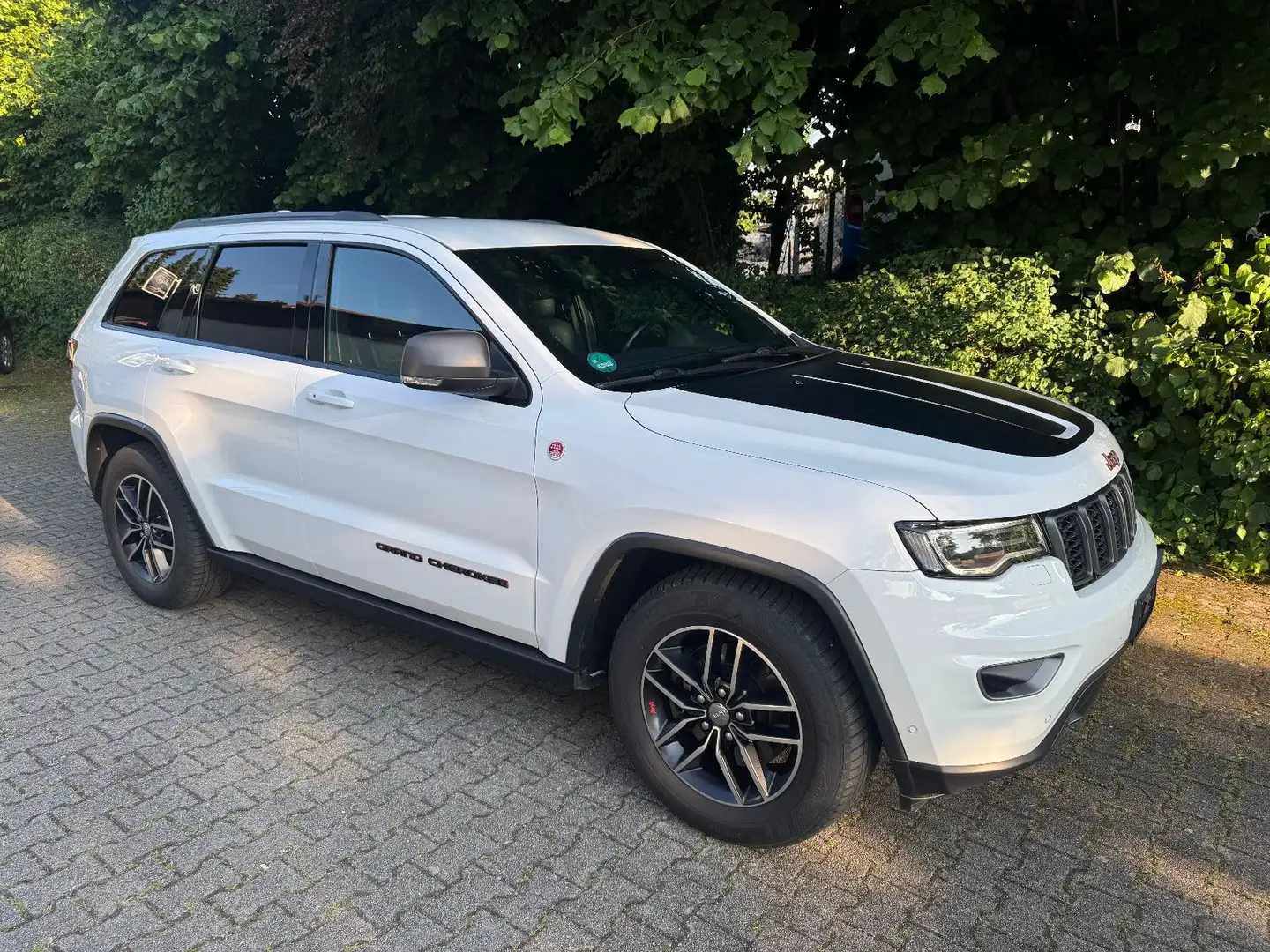 Jeep Grand Cherokee 3.0l V6 MultiJet 184kW Trailhawk Alb - 1