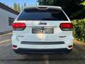 Jeep Grand Cherokee 3.0l V6 MultiJet 184kW Trailhawk Alb - thumbnail 6