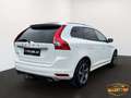 Volvo XC60 AWD AUT. // R-DESIGN // PANO // AHK // ZR+WP Neu Weiß - thumbnail 5