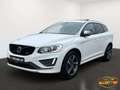Volvo XC60 AWD AUT. // R-DESIGN // PANO // AHK // ZR+WP Neu Weiß - thumbnail 1