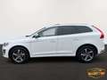 Volvo XC60 AWD AUT. // R-DESIGN // PANO // AHK // ZR+WP Neu Weiß - thumbnail 8