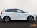 Volvo XC60 AWD AUT. // R-DESIGN // PANO // AHK // ZR+WP Neu Weiß - thumbnail 4