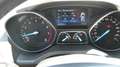Ford Kuga Kuga 1.5 EcoBoost 2x4 Titanium Grau - thumbnail 15
