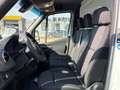 Mercedes-Benz Sprinter PRO 315 CDI lang Möbelkoffer Weiß - thumbnail 3