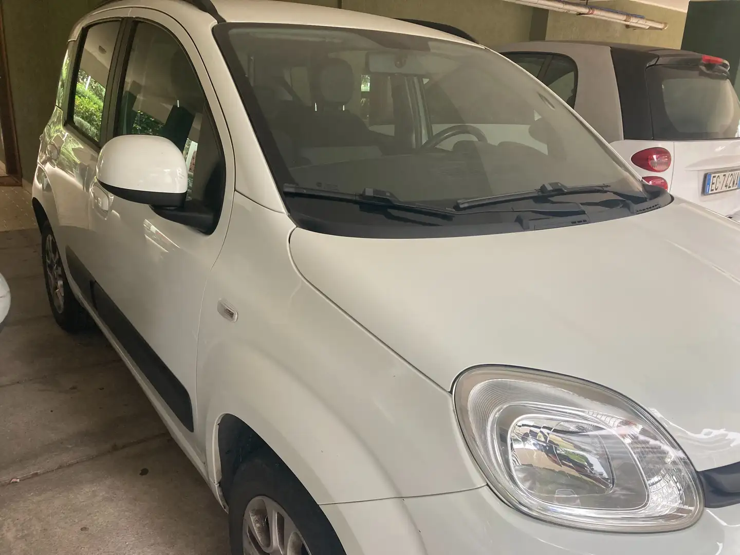 Fiat Panda Panda 1.2 Lounge S&S quattro cilindri Bianco - 2