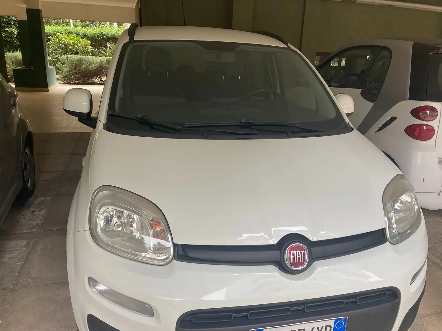 Fiat Panda Panda 1.2 Lounge S&S quattro cilindri Bianco - 1