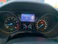 Ford Focus 1.6 EcoBoost 150 CV Start&Stop SW Gris - thumbnail 15
