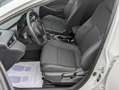 Toyota Corolla 125H Business Blanco - thumbnail 5