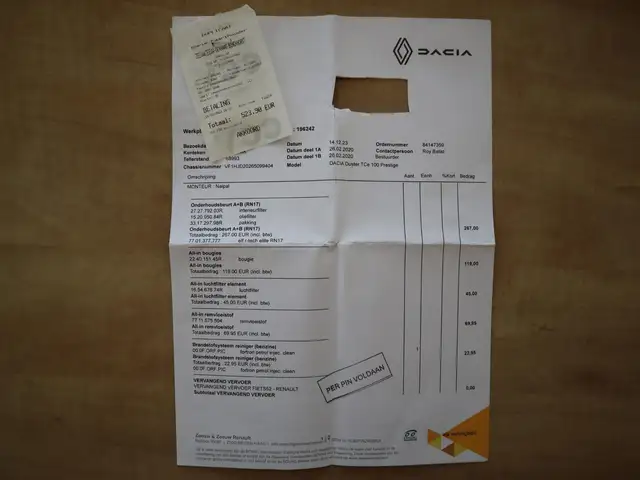 Dacia Duster view 28