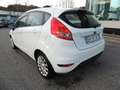Ford Fiesta Fiesta  5p 1.2 16v  PLUS c/esp E5 Wit - thumbnail 6