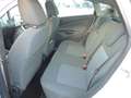 Ford Fiesta Fiesta  5p 1.2 16v  PLUS c/esp E5 Wit - thumbnail 12