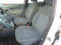 Ford Fiesta Fiesta  5p 1.2 16v  PLUS c/esp E5 Wit - thumbnail 10