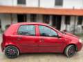 Fiat Punto 5p 1.2 natural power - ANCHE PER NEOPATENTATI Rot - thumbnail 5