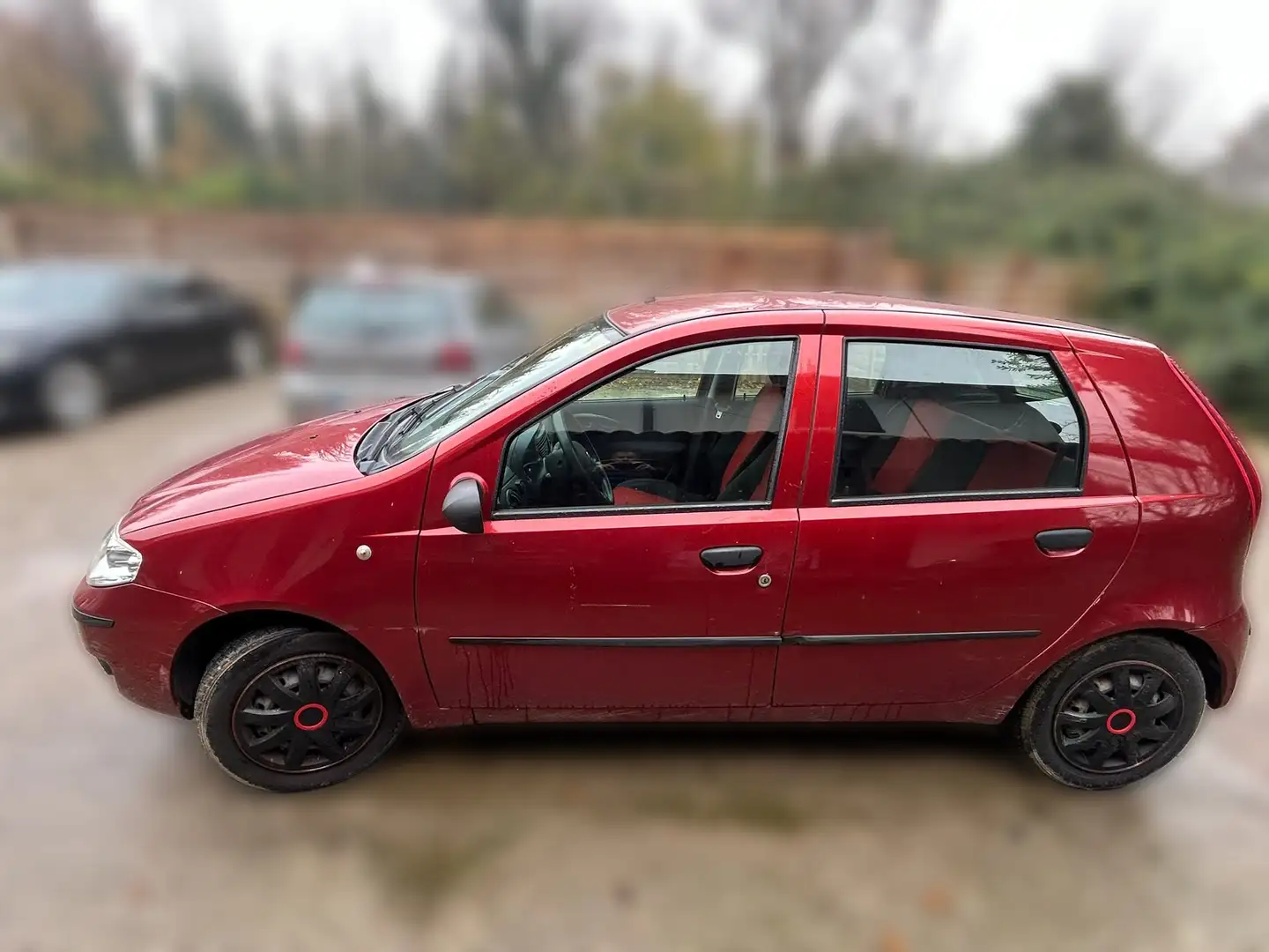 Fiat Punto 5p 1.2 natural power - ANCHE PER NEOPATENTATI Rot - 2