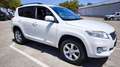 Toyota RAV 4 Crossover Exclusive 150cv 4WD Bianco - thumbnail 3