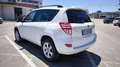 Toyota RAV 4 Crossover Exclusive 150cv 4WD Bianco - thumbnail 6