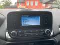 Ford EcoSport 100Ps PDC Winter Paket Bleu - thumbnail 9