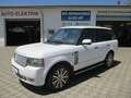Land Rover Range Rover 5.0 HSE Autom., Leder, Navi Blanc - thumbnail 1