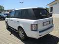 Land Rover Range Rover 5.0 HSE Autom., Leder, Navi Blanc - thumbnail 6