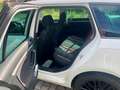 Volkswagen Golf 6 / 1.4 TSI 90kW DSG Comfortline Variant Weiß - thumbnail 13