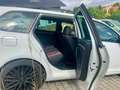 Volkswagen Golf 6 / 1.4 TSI 90kW DSG Comfortline Variant Weiß - thumbnail 14