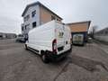 Peugeot Boxer Luxusbus 3000 L1H1 2,2 HDi 130 FAP Euro5 - thumbnail 4