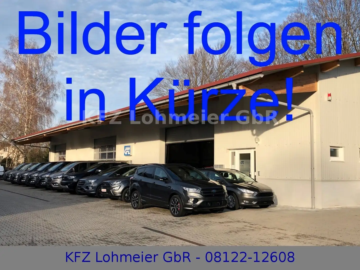 Ford Tourneo Custom 320 L2 Active 4x4 *AHK*B&O* Grau - 1