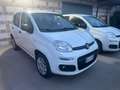 Fiat New Panda Metano 2020 Білий - thumbnail 2