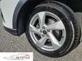 Audi Q3 35 TDI S tronic Business Advanced Bianco - thumbnail 10