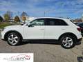 Audi Q3 35 TDI S tronic Business Advanced Bianco - thumbnail 4
