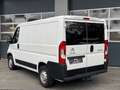 Citroen Jumper Kasten 30 L1H1 BlueHDi 120 AHK Klima Weiß - thumbnail 6