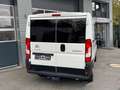 Citroen Jumper Kasten 30 L1H1 BlueHDi 120 AHK Klima Weiß - thumbnail 18