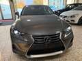 Lexus IS 300 Executive Line Gris - thumbnail 3