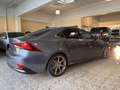 Lexus IS 300 Executive Line Gris - thumbnail 5
