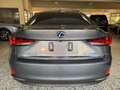 Lexus IS 300 Executive Line Gris - thumbnail 13
