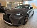 Lexus IS 300 Executive Line Gris - thumbnail 11
