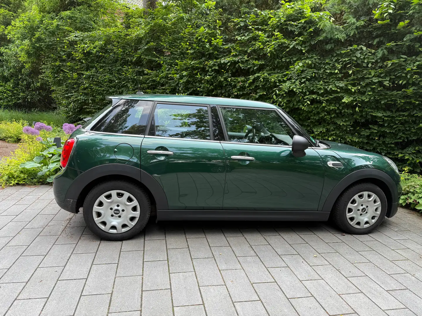MINI One D Mini One D Grün - 2
