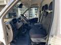 Fiat Ducato 35 L2H2 AHK Navi RüKa CarPlay Allwetter White - thumbnail 9