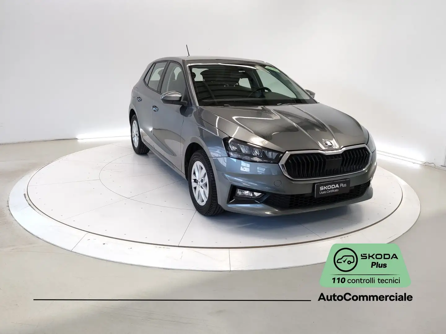 Skoda Fabia 1.0 MPI EVO 80 CV Ambition Grau - 1
