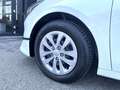 Kia Ceed SW / cee'd SW ceed SW 1,0 T-GDI GPF ISG Titan Weiß - thumbnail 8