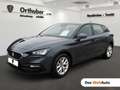 SEAT Leon Austria Edition 1.0 TSI 110 PS Grigio - thumbnail 1