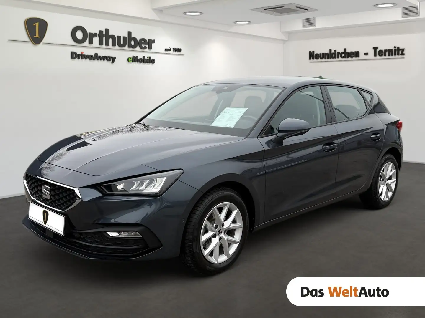 SEAT Leon Austria Edition 1.0 TSI 110 PS Grigio - 1