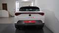 CUPRA Formentor Formentor 1.5 TSI DSG Blanc - thumbnail 19