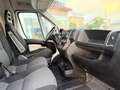 Fiat Ducato Ch.Cb.Maxi 35 2.3Mjt L2-L3 H1 160CV Blanco - thumbnail 11