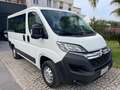 Citroen Jumper JUMPER 30 BLUEHDI 120CV IVA COMPRESA 9 POSTI Blanc - thumbnail 3